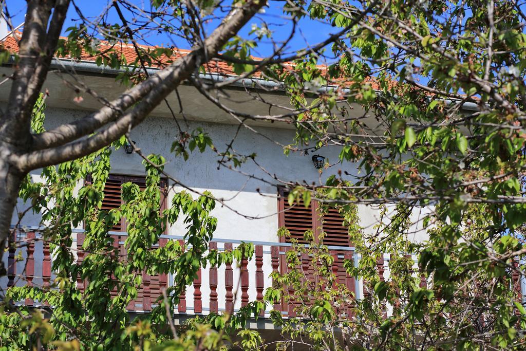 Apartment Ante Bibinje Zewnętrze zdjęcie